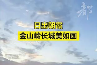 生涯中谁最难防？韦德：雷-阿伦和汉密尔顿 他们一直在跑动